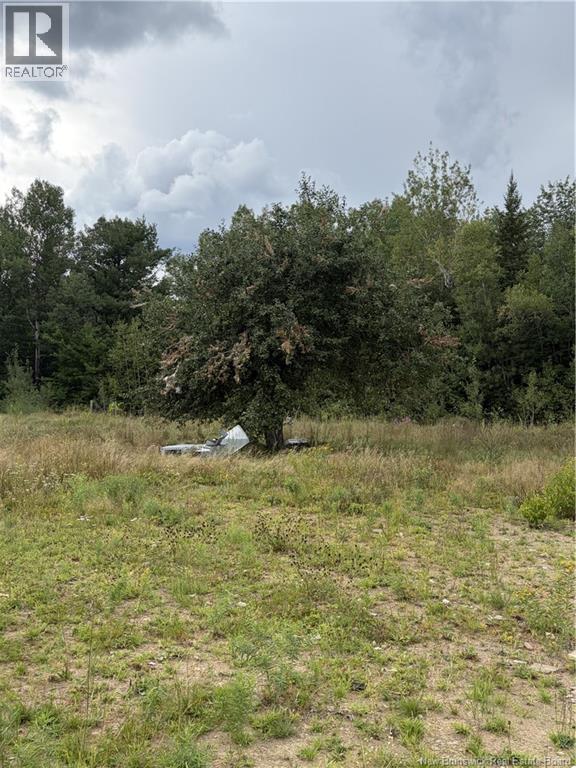 10035 Route 11 Property Photo 27