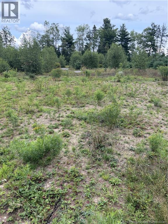 10035 Route 11 Property Photo 29
