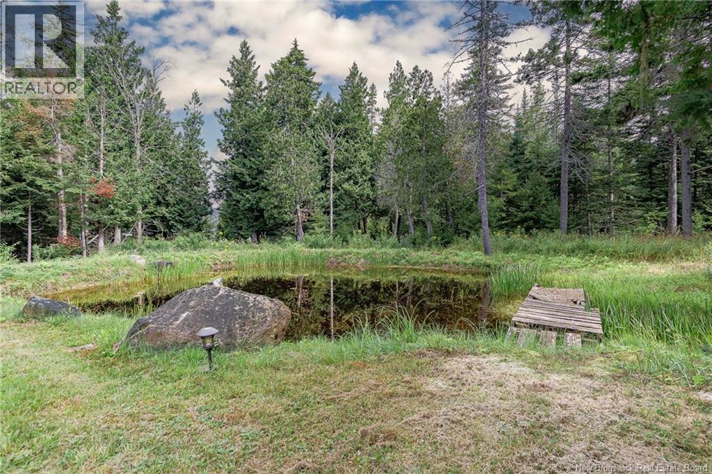 Lot And Camp Route 845 Property Photo 34