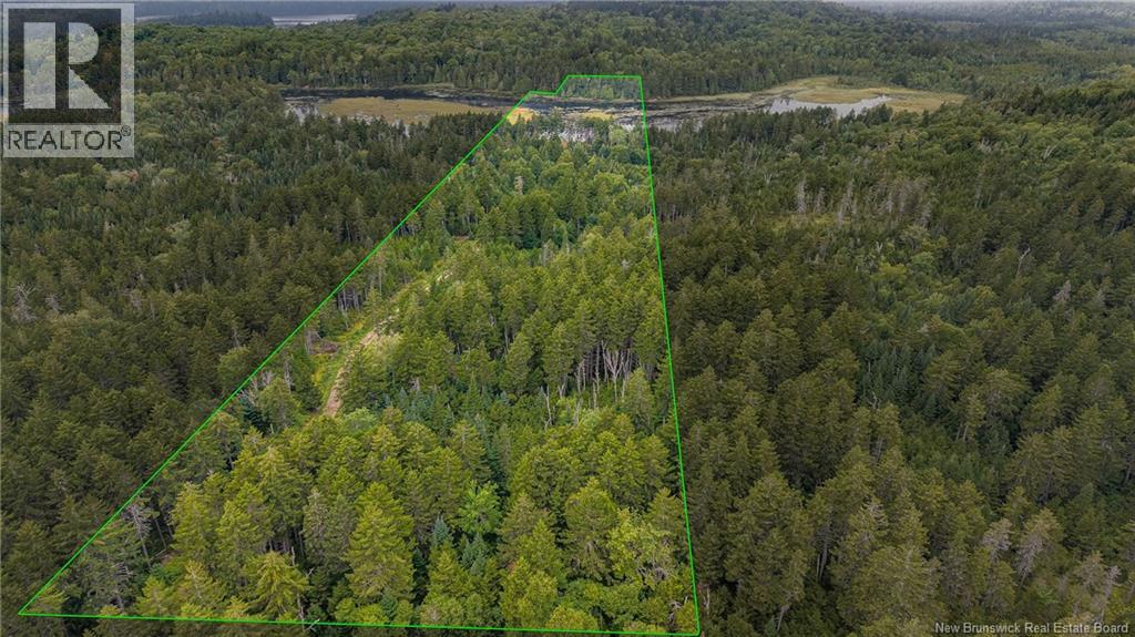 Lot And Camp Route 845 Property Photo 45