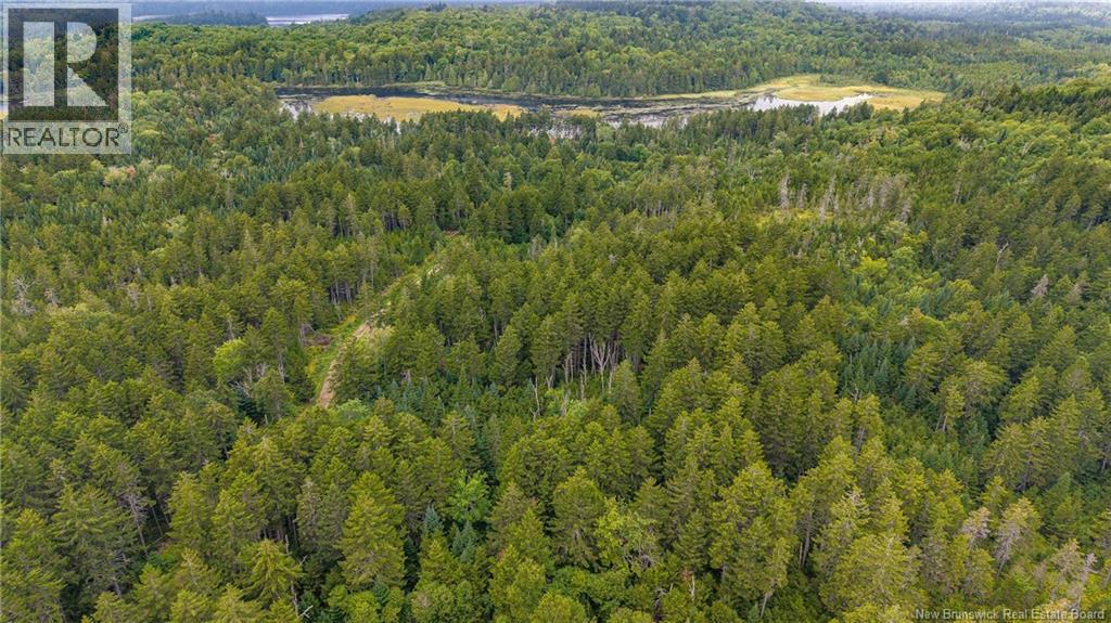 Lot And Camp Route 845 Property Photo 46