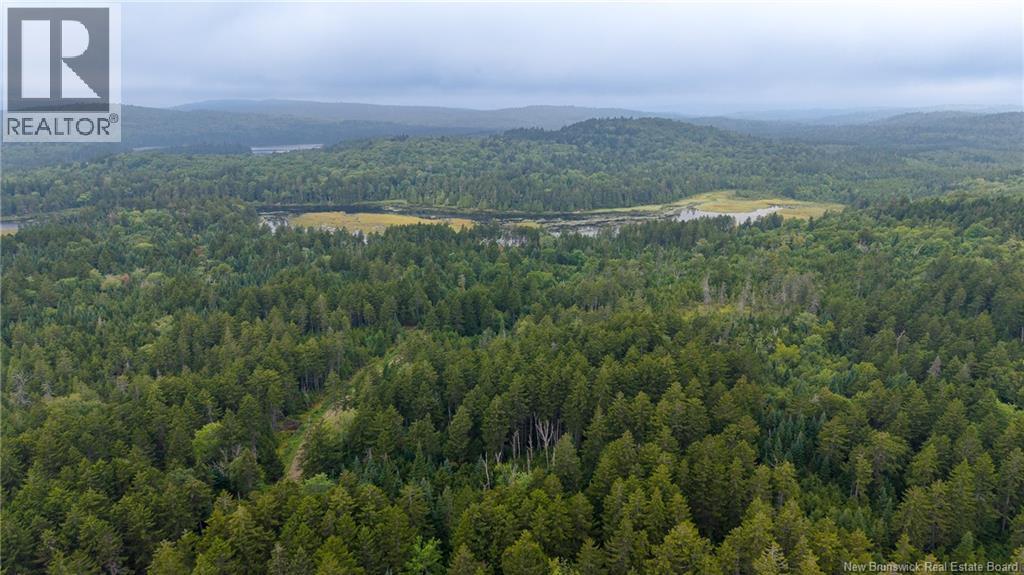 Lot And Camp Route 845 Property Photo 47