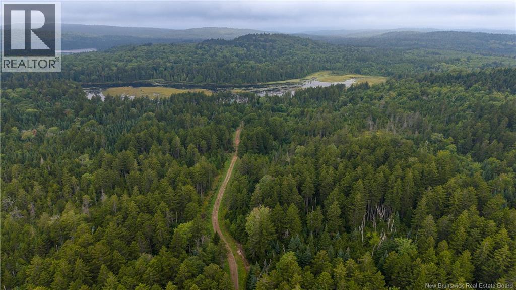 Lot And Camp Route 845 Property Photo 48