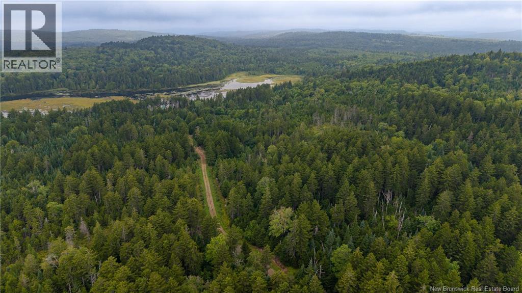 Lot And Camp Route 845 Property Photo 49