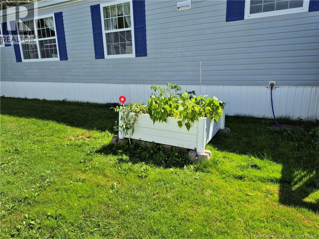 53 Jacob Street Property Photo 38