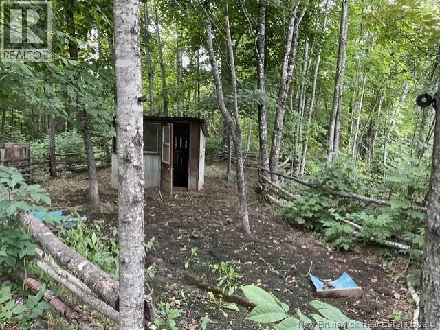64 Teed Road Property Photo 17