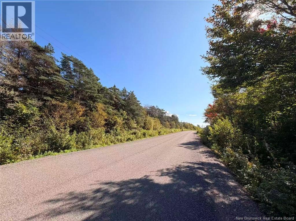 266 Murray Road Property Photo 11