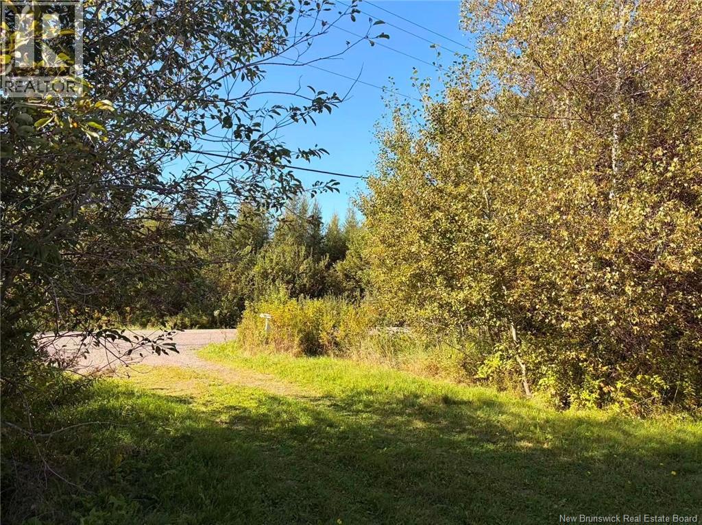 266 Murray Road Property Photo 14