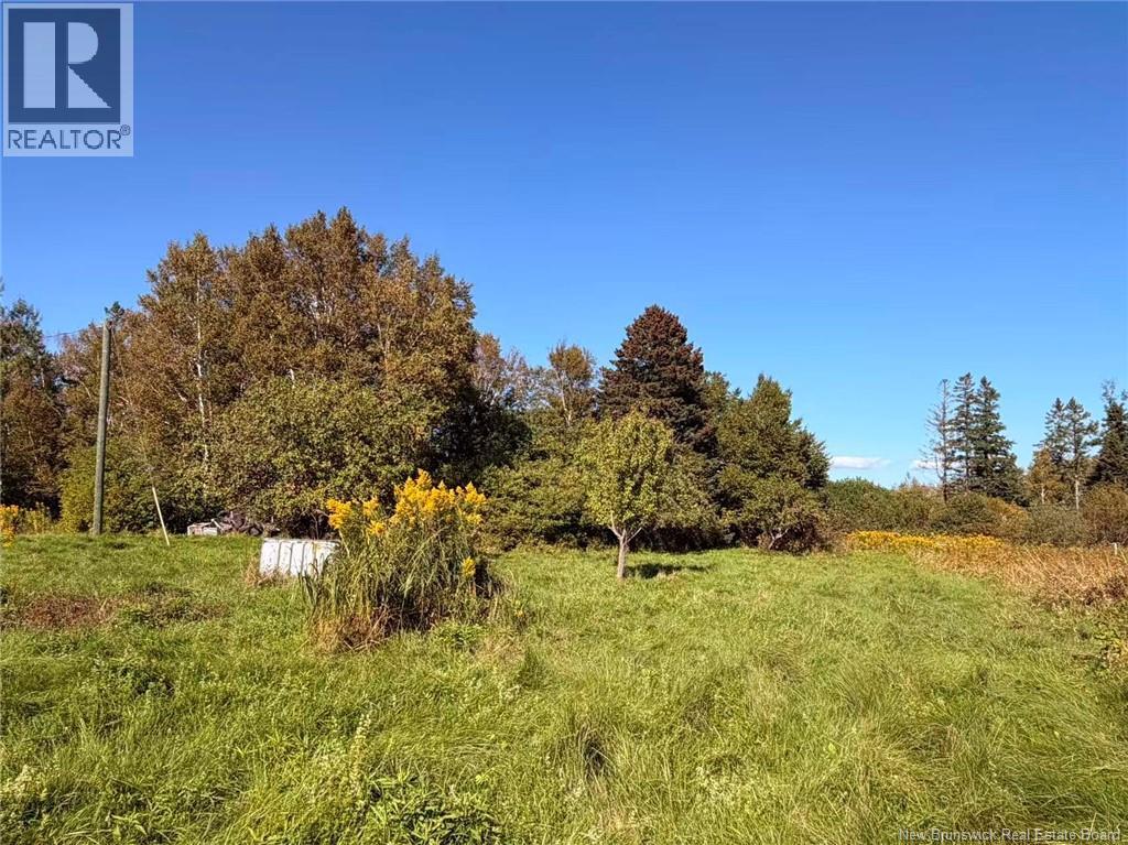266 Murray Road Property Photo 22