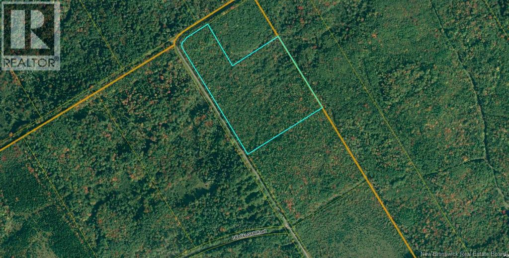 Lot 286 Branch Road Property Photo 1