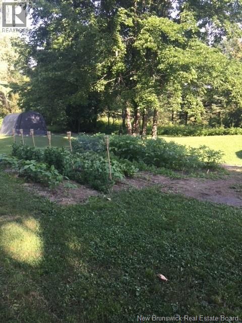 350 Debec Road Property Photo 37