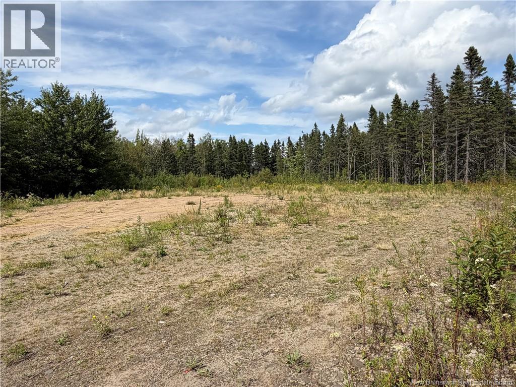 4319 Route 134 Property Photo 3