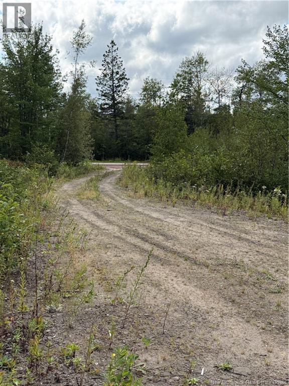 4319 Route 134 Property Photo 4