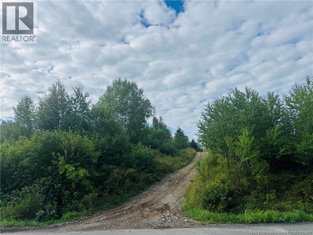 Lot Route 280 Property Photo 1