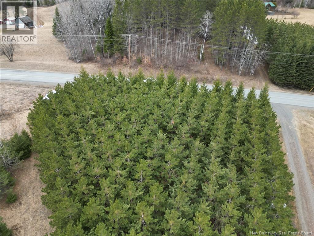 Route 385 Property Photo 3