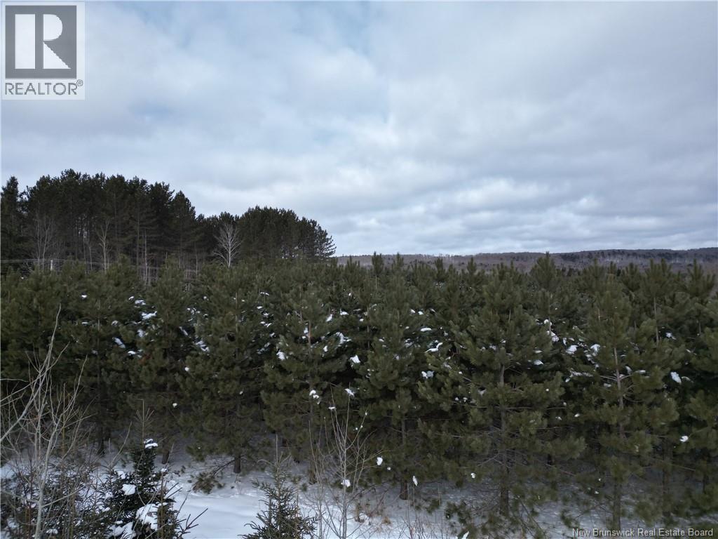 Route 385 Property Photo 21