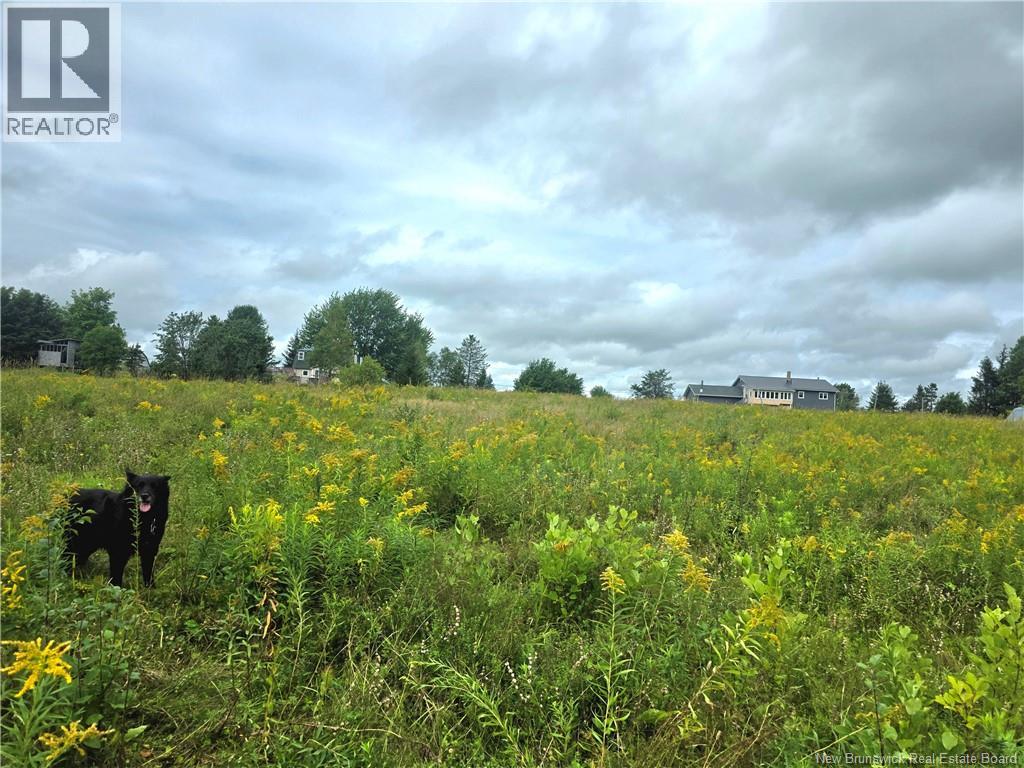 6129 Route 515 Property Photo 40
