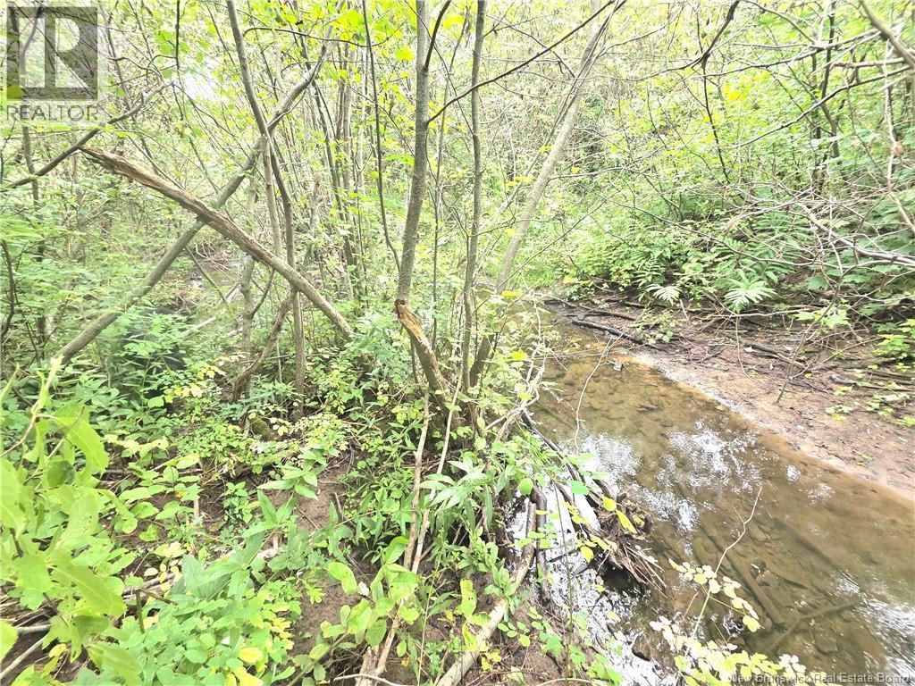 6129 Route 515 Property Photo 41