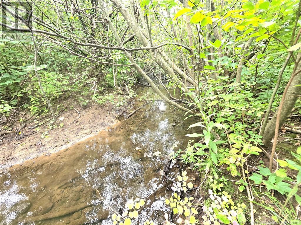 6129 Route 515 Property Photo 42