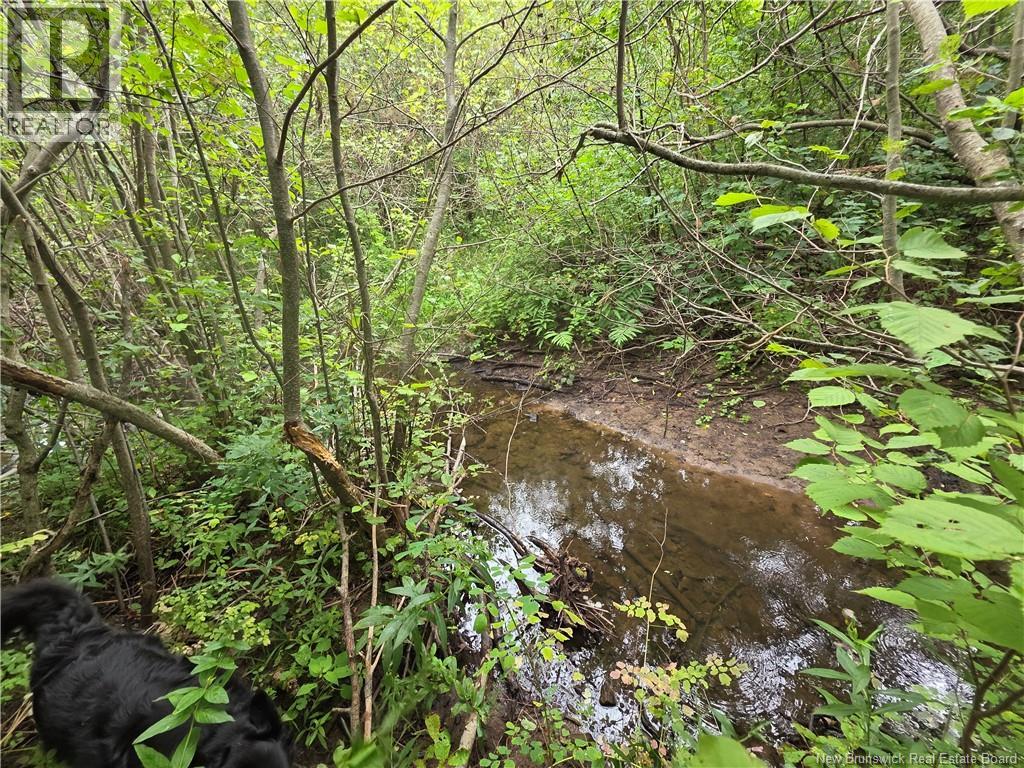 6129 Route 515 Property Photo 43