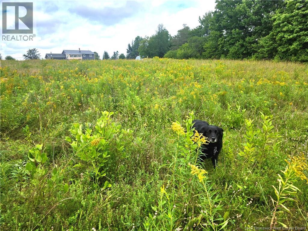 6129 Route 515 Property Photo 44