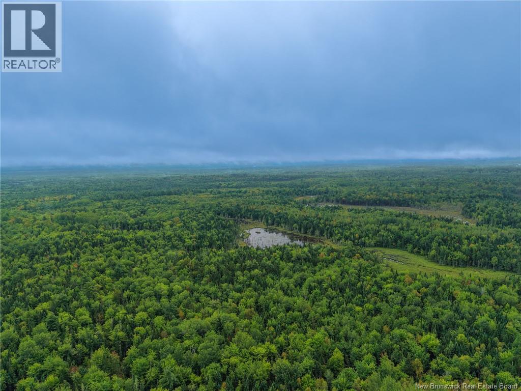 Lot 4 Boone Road Property Photo 6