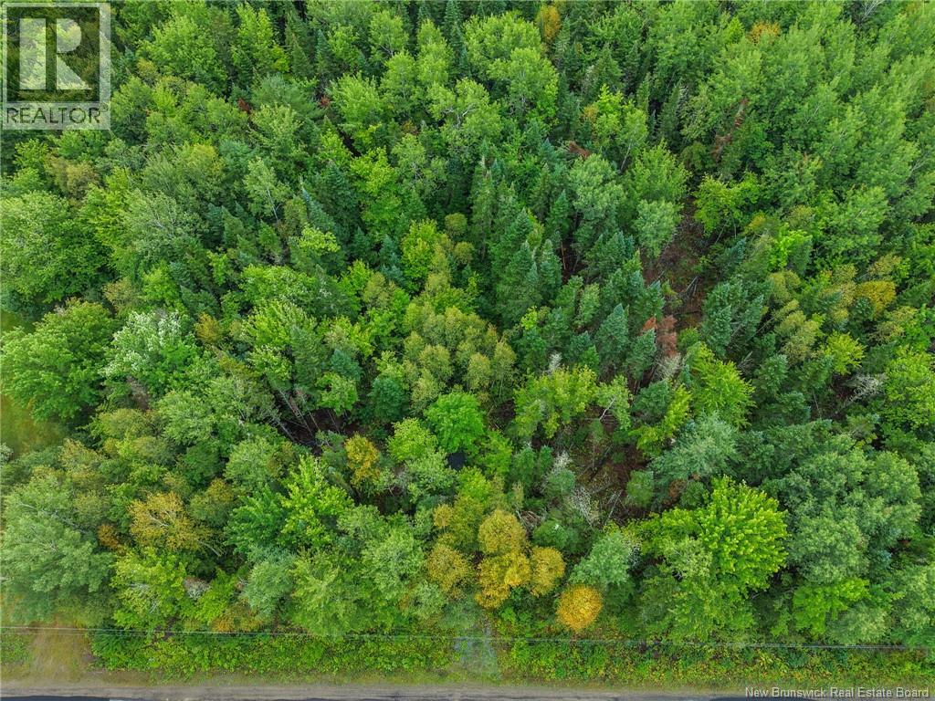 Lot 4 Boone Road Property Photo 7