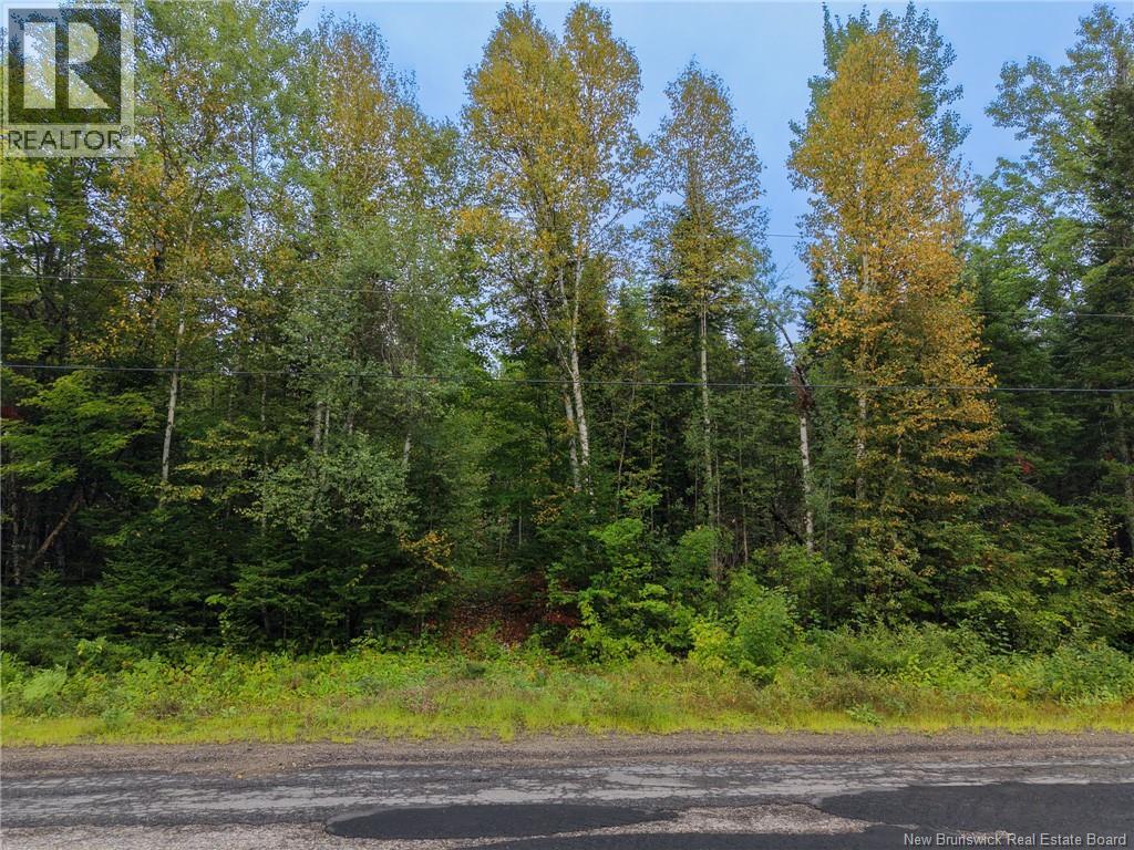 Lot 4 Boone Road Property Photo 8