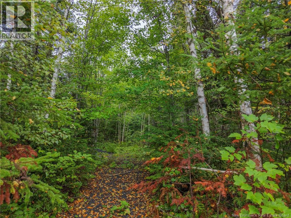 Lot 4 Boone Road Property Photo 9