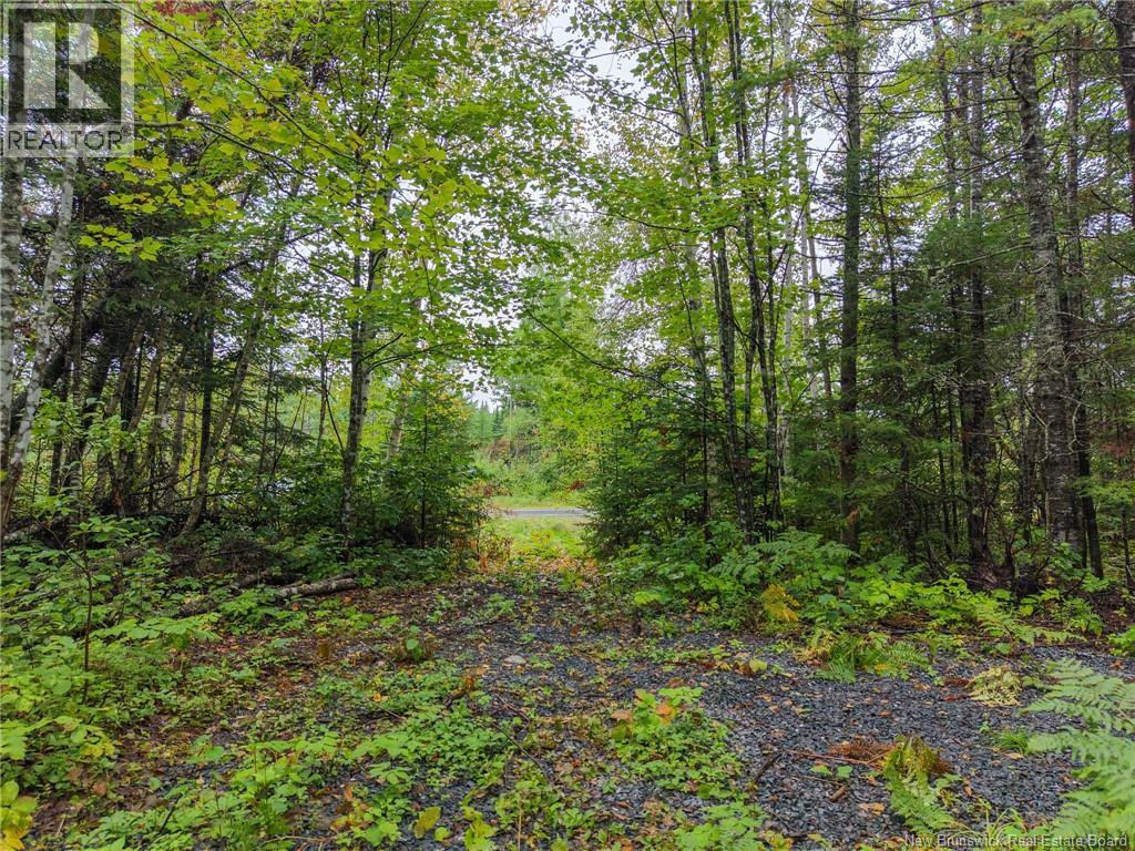 Lot 4 Boone Road Property Photo 10