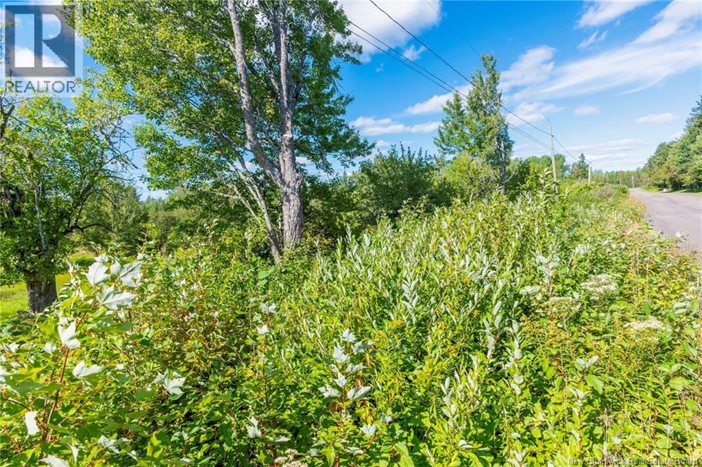 Lot 84-2 New Scotland Road Property Photo 5