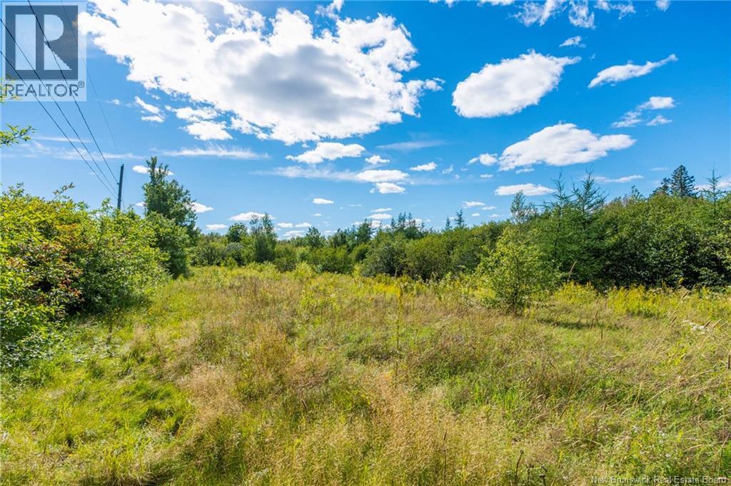 Lot 84-2 New Scotland Road Property Photo 6