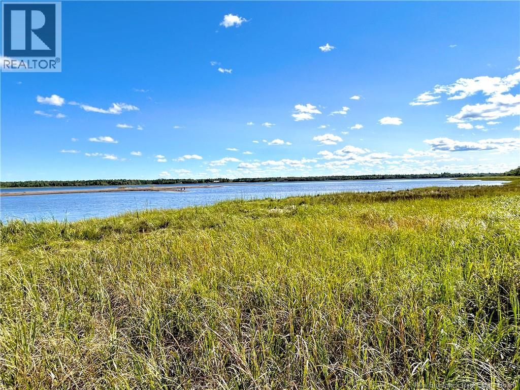 8.25 Acres Pointe Au Sable Road Property Photo 1