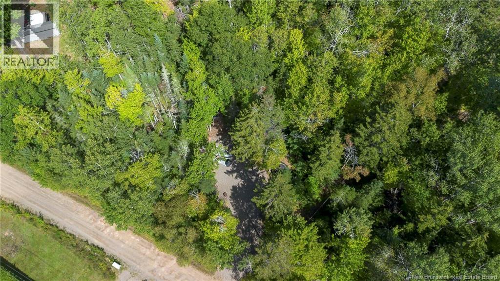 0 Cedar Lane Property Photo 4