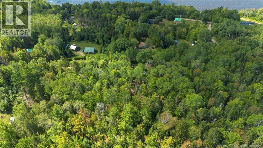 0 Cedar Lane Property Photo 11