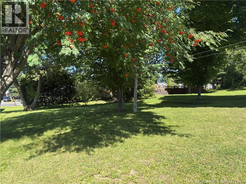 25 Hillcrest Avenue Property Photo 38