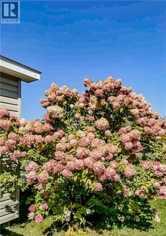 429 Saint-athanase Property Photo 38