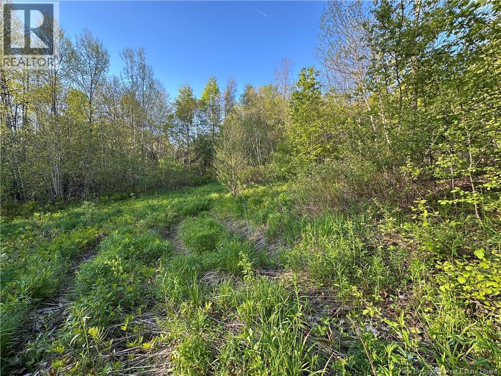 Highfield Road Property Photo 3