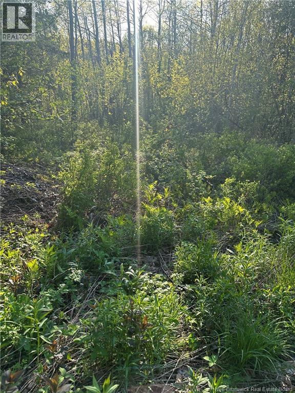 Highfield Road Property Photo 9