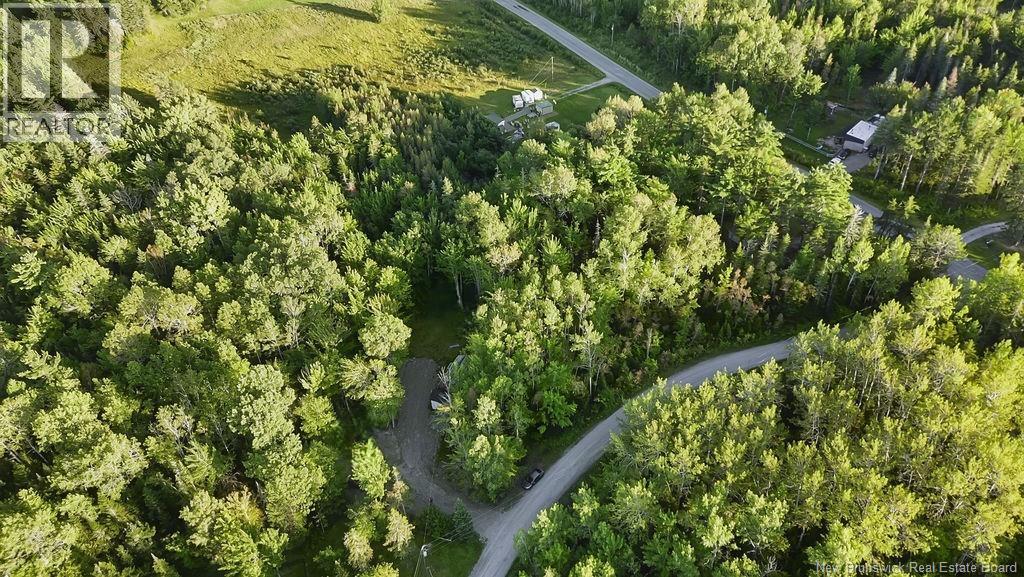 12 Thorne Brook Road Property Photo 13