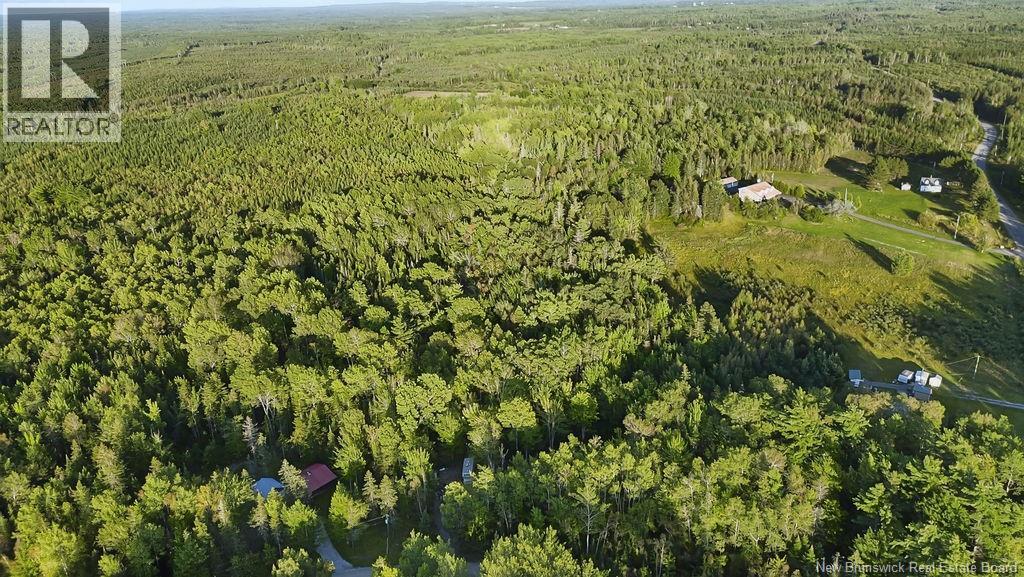 12 Thorne Brook Road Property Photo 15