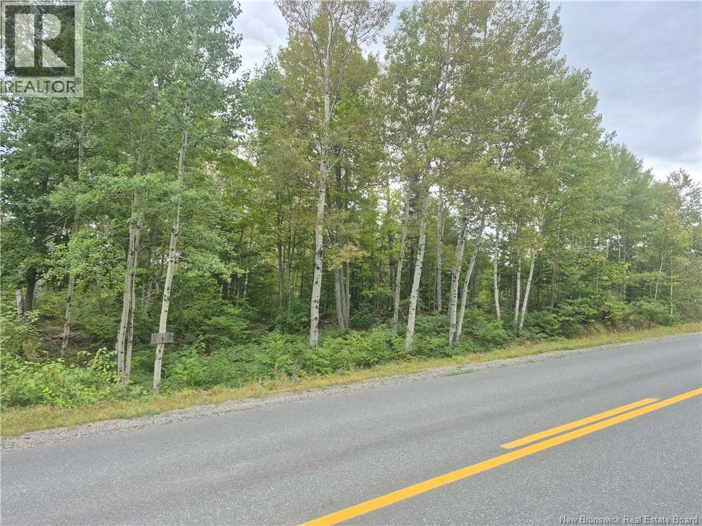 2.6 Acres Nicholas Denys