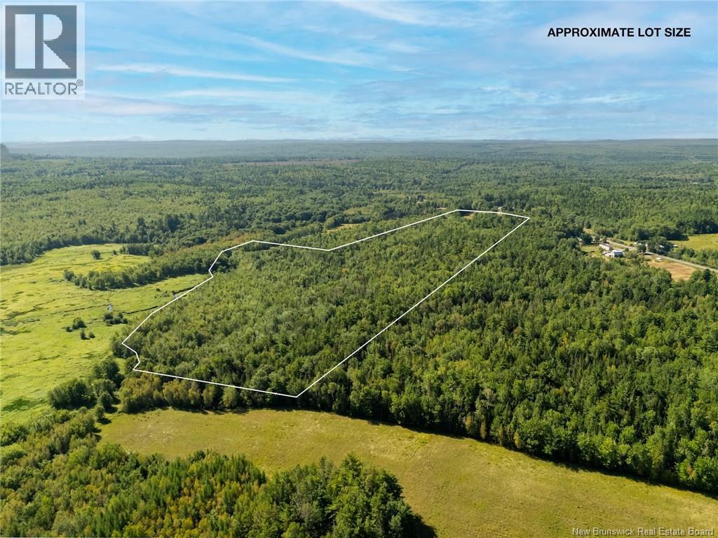 Lot Route 102 Route Property Photo 4