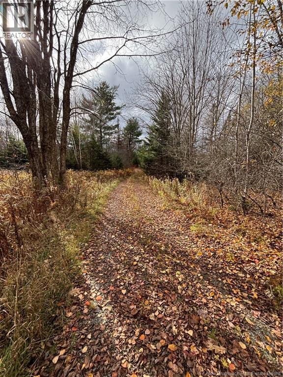 682 Boyd Road Property Photo 4