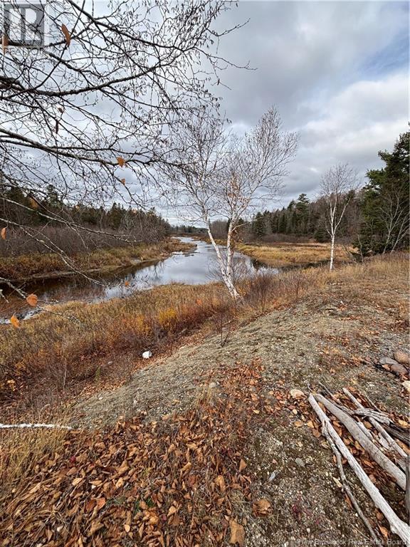 682 Boyd Road Property Photo 11