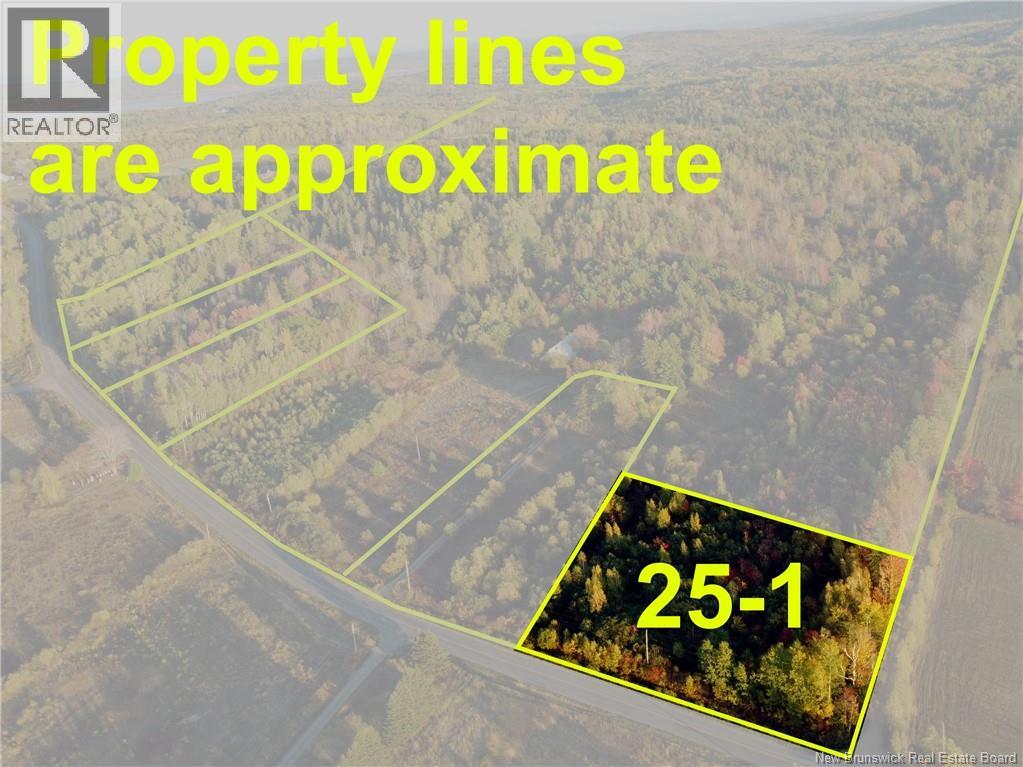 25-1 Route 910 Property Photo 2