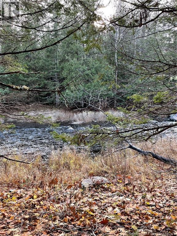 519 Route 725 Property Photo 1
