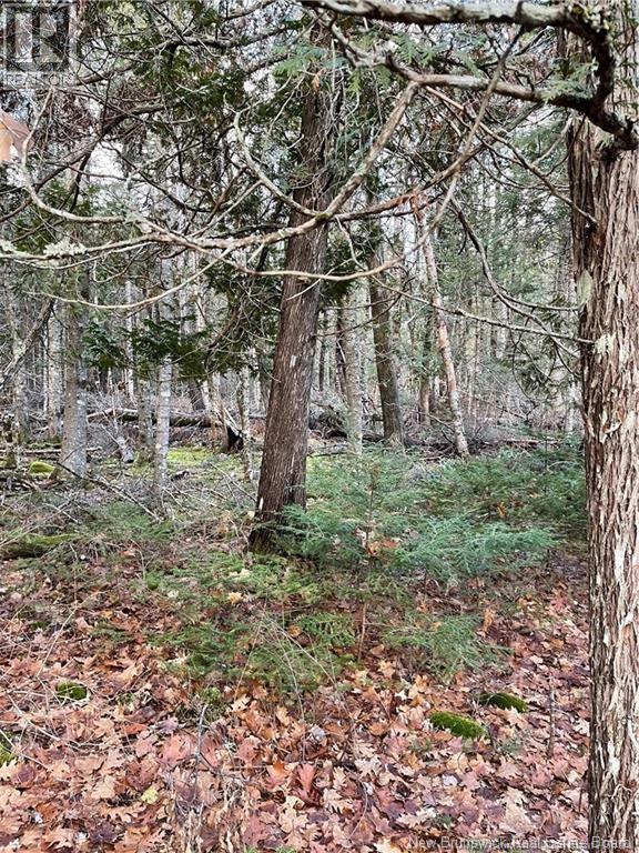 519 Route 725 Property Photo 3