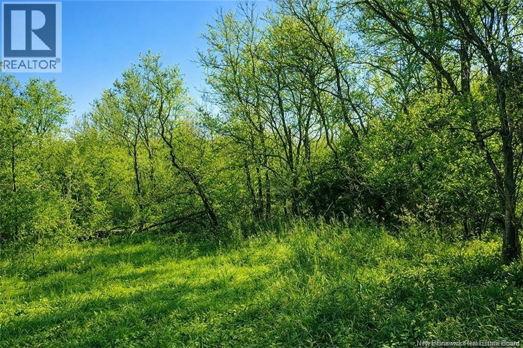 10001 105 Route Property Photo 7