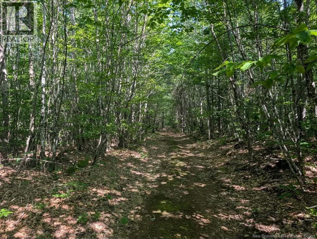Recreational Lot 1 Green Road Property Photo 1